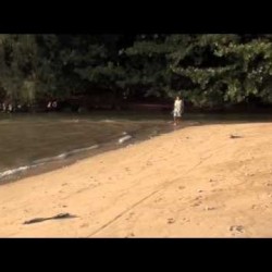 Video: Hanalei River Plugged Up