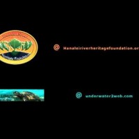 Video: The Worlds Guide for Hawaiian Reef Fish Video Trailer