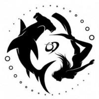 Ocean Defender Foundation