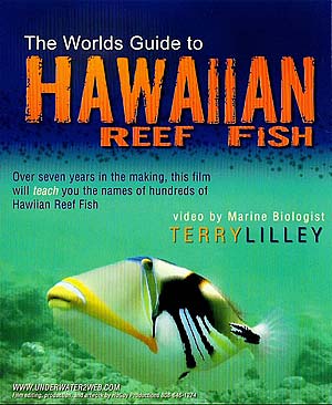 Hawaiian Reef Fish DVD, a close-up of a trigger-fish is pictured